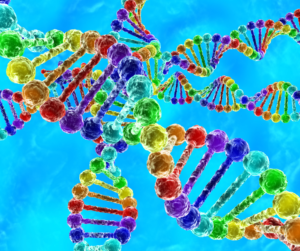 Read more about the article Q&A: Gay Genes and On What Is Unnatural