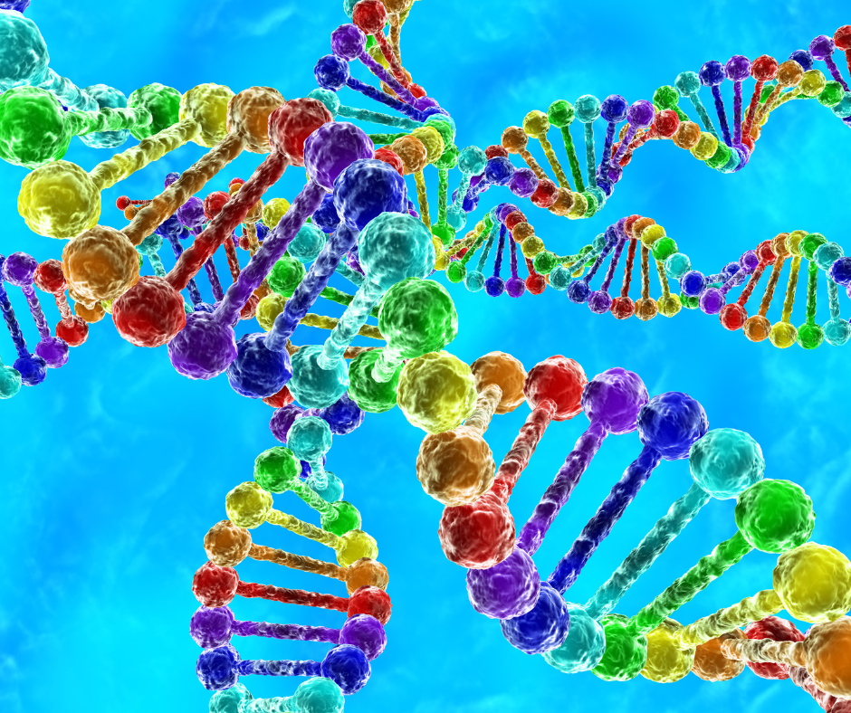 Q&A: Gay Genes and On What Is Unnatural