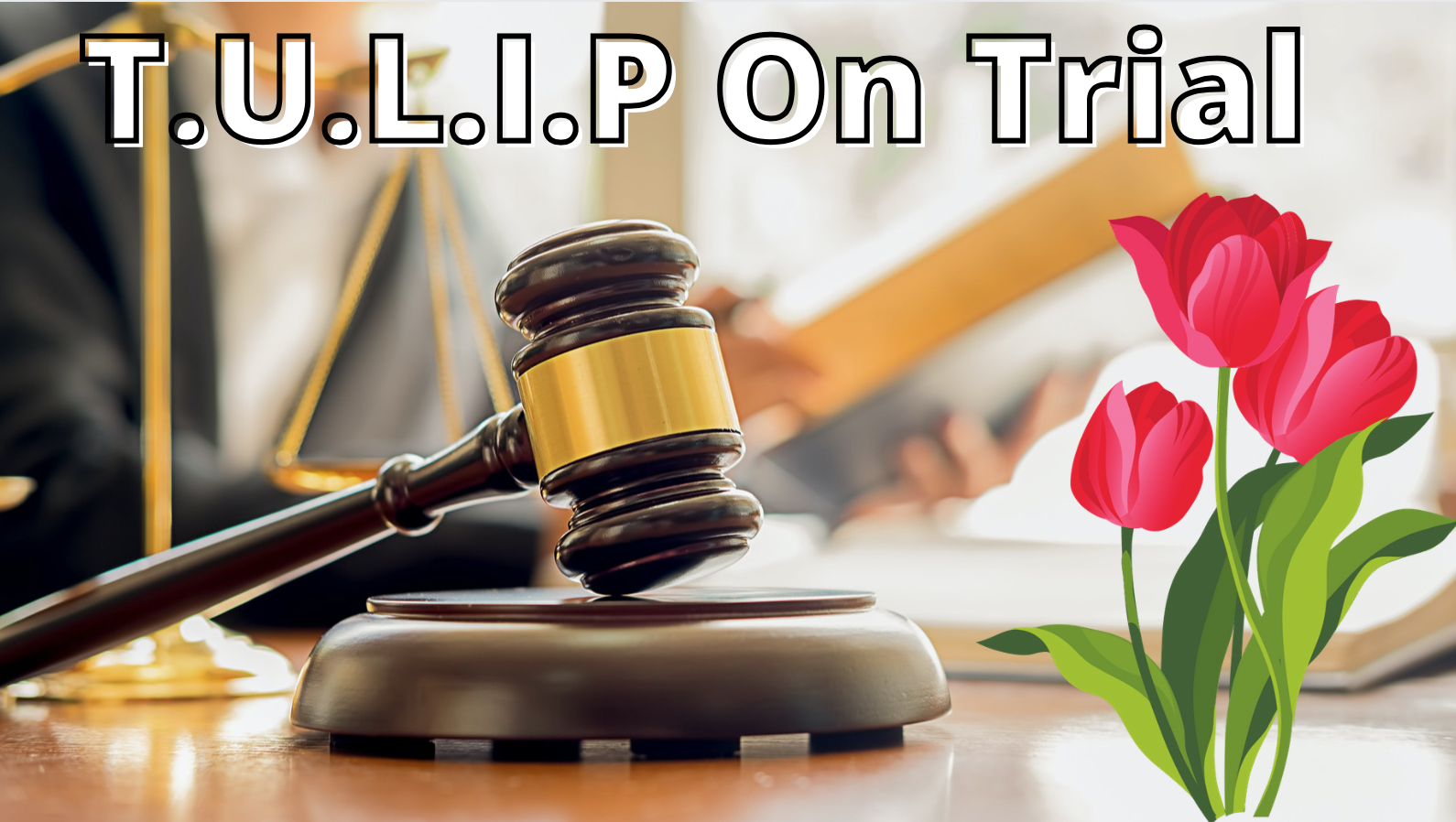 T.U.L.I.P On Trial